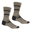 Regatta Mens Walking Socks 3 Season Comfortable Socks 2 Pack Moccasin