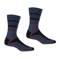 Regatta Mens Walking Socks 3 Season Comfortable Socks 2 Pack
