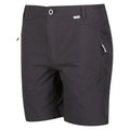 Regatta Mens Highton Mid Length Stretch Walking Shorts Seal Grey