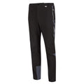 Regatta Mens Mountain III Walking Hiking Trousers Black/India Grey