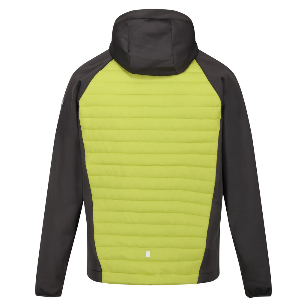 Regatta Mens Andreson VIII Hybrid Lightweight Jacket Green Algae/Seal Grey