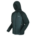 Regatta Mens Andreson VIII Hybrid Lightweight Jacket Green Gables