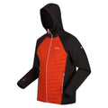 Regatta Mens Andreson VIII Hybrid Lightweight Jacket Rusty Orange/Ash