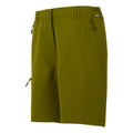 Regatta Women's Chaska Short III Mid Length Walking Shorts Nephrite Green