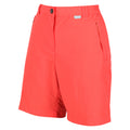 Regatta Women's Chaska Short II Mid Length Walking Shorts Neon Peach