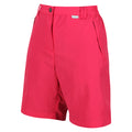 Regatta Women's Chaska Short II Mid Length Walking Shorts Rethink Pink