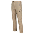 Regatta Mens Highton Walking Hiking Trousers Oat - Renna Clothing