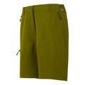 Regatta Women's Chaska Short III Mid Length Walking Shorts Nephrite Green - Renna Clothing
